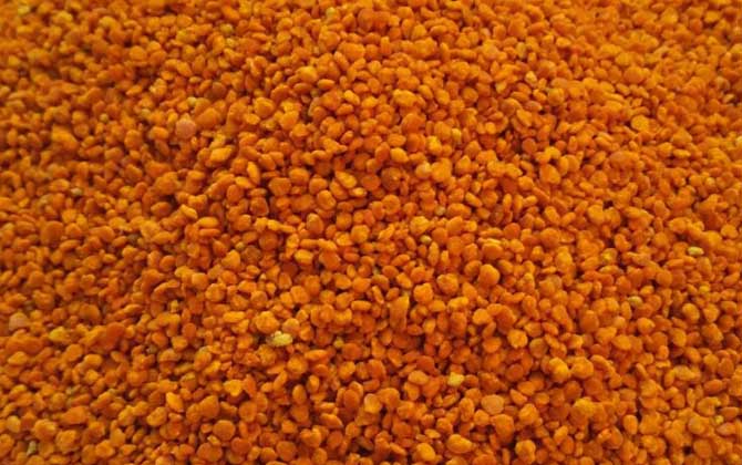 茶花粉和菜花粉哪個好？