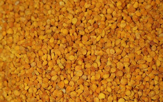 茶花粉適合什么人吃？