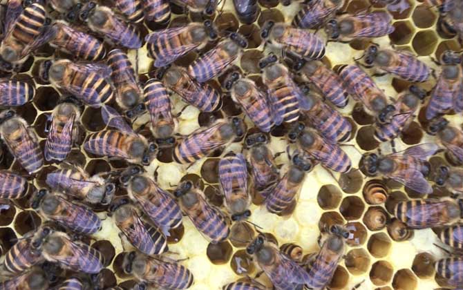 急造王臺要具備哪些條件？