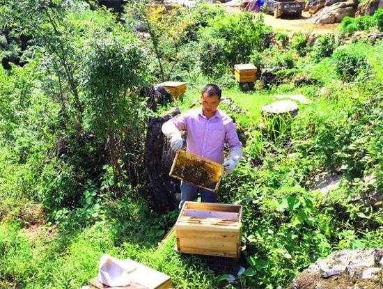 下司鎮新華村農民汪樹清養蜂脫貧