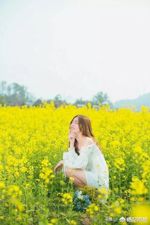 農村養(yǎng)殖蜜蜂前景如何(現(xiàn)在農村養(yǎng)蜂前景如何)