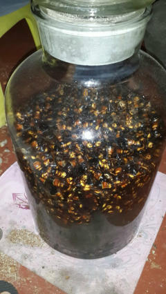 胡蜂酒的功效與作用（胡蜂酒有哪幾種功效）