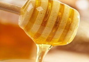 湖北有什么流蜜源植物（湖北養蜂業之湖北蜜源植物介紹）