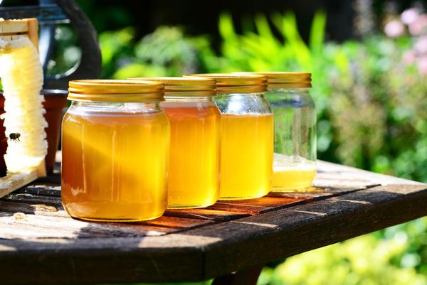 很那蜜源植物有哪些（鄉下野外都有哪些主要蜜源植物）