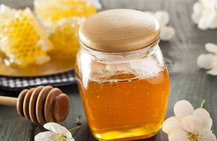 馬蜂用什么東西筑巢（馬蜂拿什么來(lái)做窩）