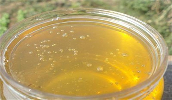 考生夢到蜂巢和蜜蜂（考試夢見蜜蜂窩和很多蜜蜂預(yù)示著什么）