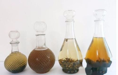 胡蜂泡酒的藥用價值（馬蜂泡酒有什么功效）